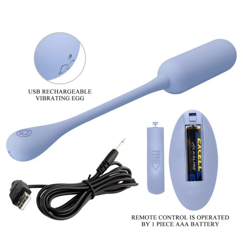 PRETTY LOVE - LECHIES Dream chaser 5, Blue, Wireless remote control 12 vibration functions Memory function