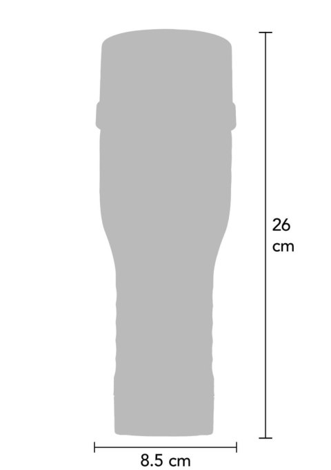 Jolee Love Pornstar Pussy