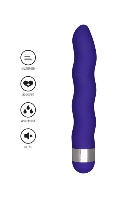 Wibrator-FUNKY WAVE VIBRETTE PURPLE