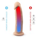Dildo-S.D Model 2 ( 9"""" )