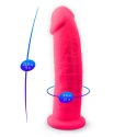 Dildo-SD.Model 2 ( 9" ) Pink