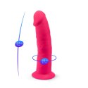 Dildo-SD.Model 2 (7.5"") PINK BOX