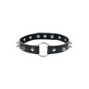 Adjustable collar with spikes
