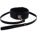 Collar with detachable leash