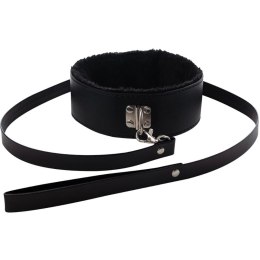 Collar with detachable leash
