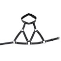 Adjustable neck and chest harness