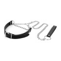 Bedroom Fantasies - Collar with Leash
Silver