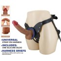 Pretty Love Wells 6.3" Silicone Dildo with Harness Briefs