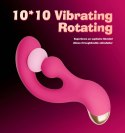 Sani Rotaing Vibrator
