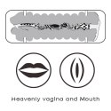 Virgin-Skin Blowout Stroker
Vagina and Mouth