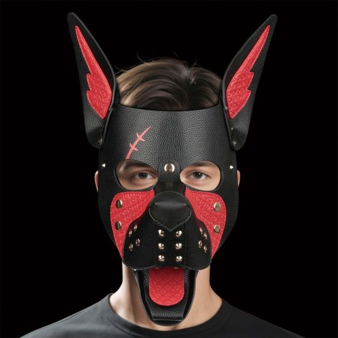 Rebellion Reign Scarred Alpha Pup Mask