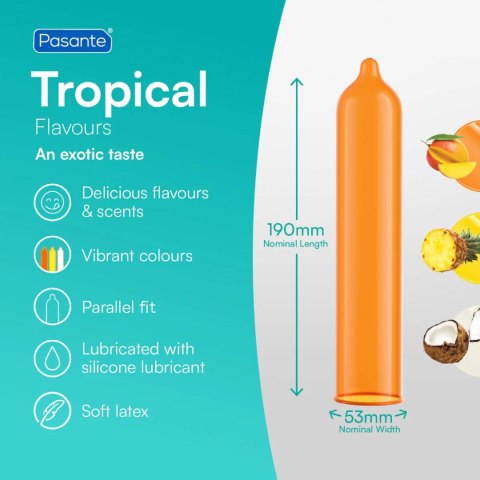 Pasante Tropical Condoms Bulk Packs 144 pcs