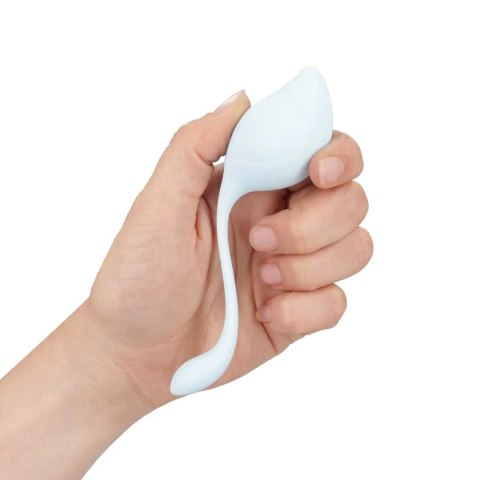 Pelvic Stem Kegel Kit - Multicolor