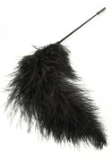Double Feather Tickler Black