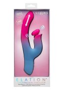 Dual Stimulator Thrusting Vibrator