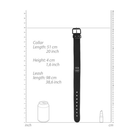 Neoprene Collar with Leash