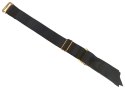 Your Strap-On Briefs & Dildo