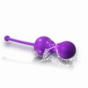 Magic Motion - Smart Kegel Master
Balls Pink