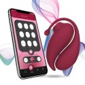 Stymulator- INSPIRATION Stimulator + Vibrating Egg