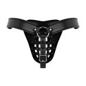 Bedroom Fantasies - Chastity Cage Panty Black