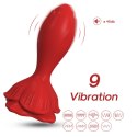 Rosenberg Red 9 vibration functions Remote control