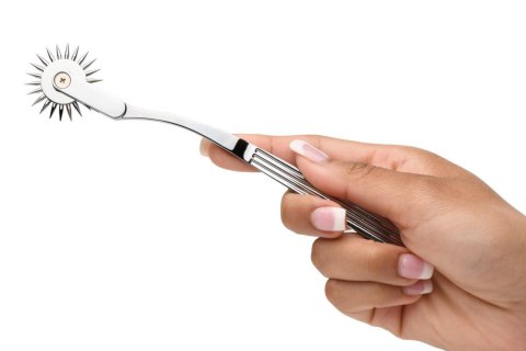 Master Series - Wartenberg Wheel Silver