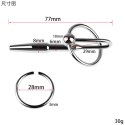 Metal Penis Plug no. 05
