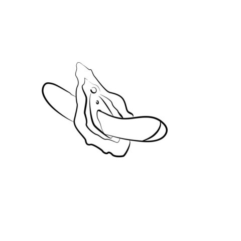 ROMP - Hype G-Spot Vibrator