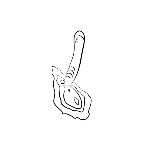 ROMP - Hype G-Spot Vibrator