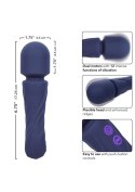 Charisma Allure Purple
