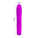 PRETTY LOVE - ELMER, PURPLE, USB, 12 function