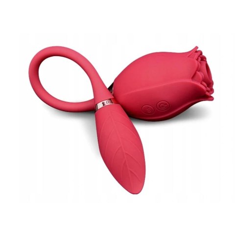 MEGA HIT !! Różyczka którą pokochały kobiety- ROSE Miss Coyness USB 10 function